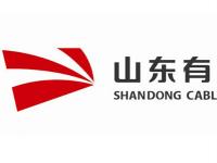山东省委宣传部长：要加快推进山东有线上市