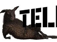 【观察】Tele2公司俄罗斯分公司为莫斯科企业客户削减费率
