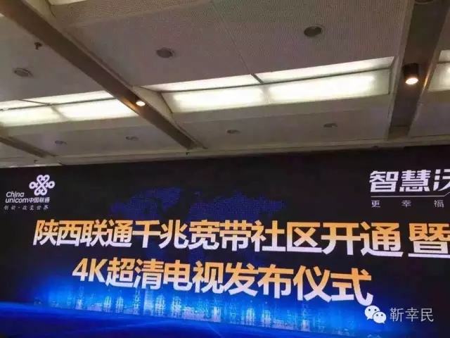 1.webp (1).jpg