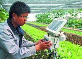 未来安徽种粮种菜将用上物联网云计算大数据