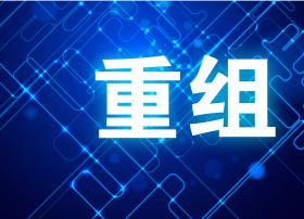【重磅】帝联科技宣布实施业务重组 CDN/IDC业务将分别注入子公司
