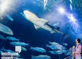 旧金山海湾水族馆引入了新的AR和VR技术