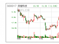 网宿科技半年报点评：中报符合预期 牵手联通强化CDN业务、持续推进全球化布局