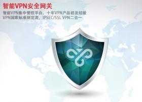 IPSEC/SSLVPN安全网关，中科网威VPN组网方案