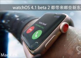 watchOS 4.1 beta 2 都带来哪些新东西？