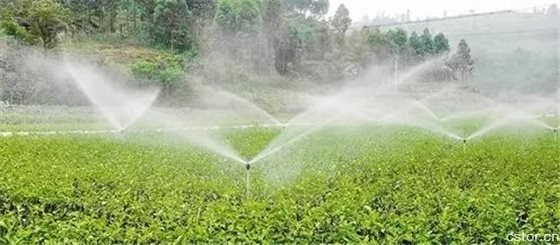 水肥一体化管理离不开农业物联网技术