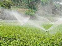 水肥一体化管理离不开农业物联网技术