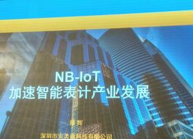 安美通郑辉：NB-IoT加速智能表计产业发展