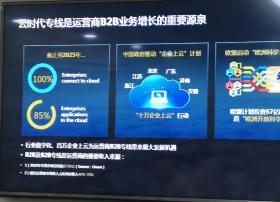 B2B专线成为运营商宽带业务的香饽饽