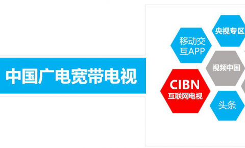 国广东方毛卫兵：携手<font color=red>CIBN</font>互联网电视，打造DVB+OTT开放共赢新生态