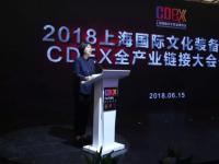 2018 CDEX 上海国际文化装备博览会隆重开幕