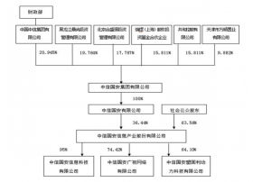 中信国安信息产业：对子公司提供担保的公告