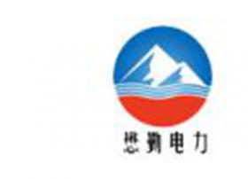 懋勤电力获得CDN牌照