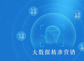 IDC服务公司云之翼科技获得CDN牌照