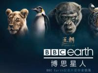 腾讯BBC深化合作，联手打造粉丝社区