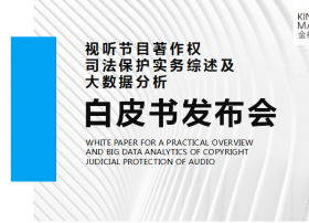 重磅！第六届中国网络视听大会发布《视听节目著作权司法保护实务综述及大数据分析白皮书（2013–2017）》