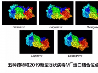 华中科技大学、华为云等联合筛选出五种可能有效抗新冠病毒药物
