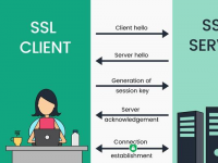 从HTTP变成HTTPS，SSL证书究竟发挥什么作用？ 