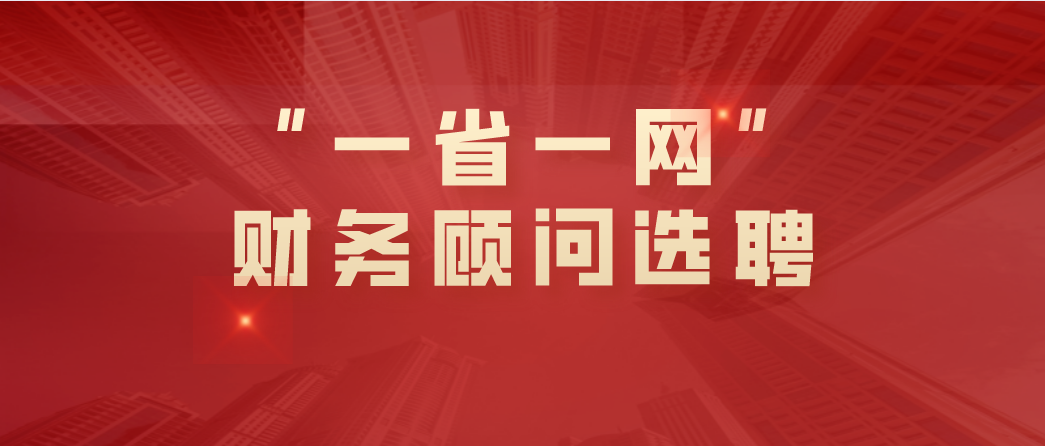 “一省一网”财务顾问选聘项目