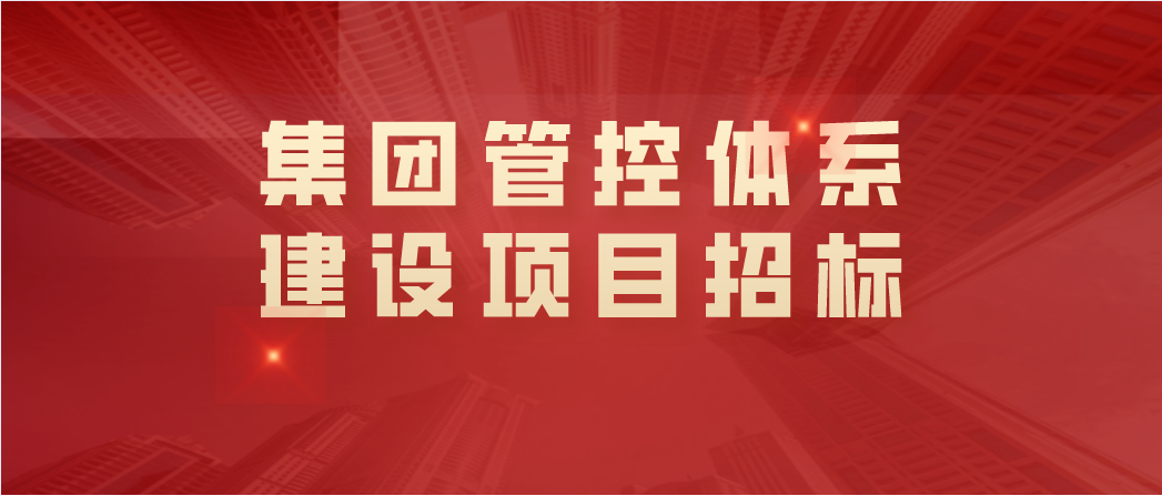 集团管控体系建设项目招标