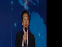 BIRTV2008主题报告会演讲：索尼公司岩本哲也