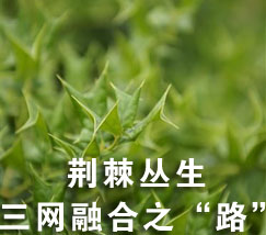荆棘丛生的三网融合之“路”