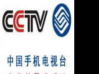 中国手机电视台商业前景遭质疑