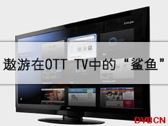 遨游在OTT TV中的“鲨鱼”