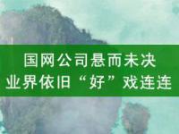 六月：国网公司悬而未决，业界依旧“好”戏连连（上）