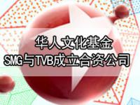 华人文化基金、SMG与TVB成立合资公司