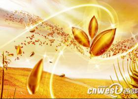 陕西农林科技频道正式更名为“农林卫视”